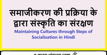 समाजीकरण की प्रक्रिया के द्वारा संस्कृति का संरक्षण