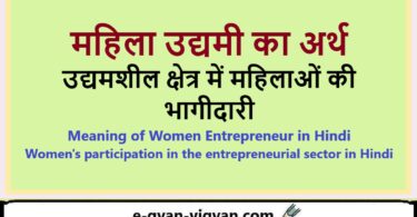 महिला उद्यमी का अर्थ