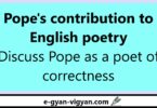 Pope's contribution to English poetry